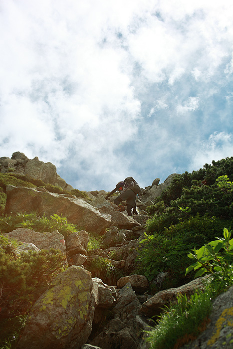 a0148606_1314211.jpg
