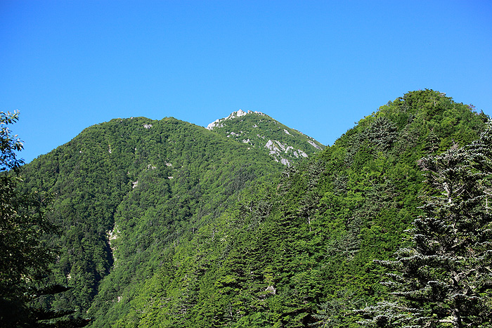 a0148606_14291441.jpg
