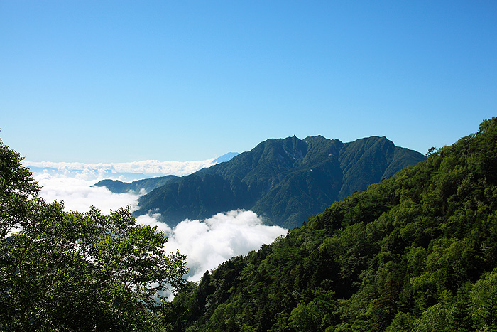 a0148606_14315232.jpg