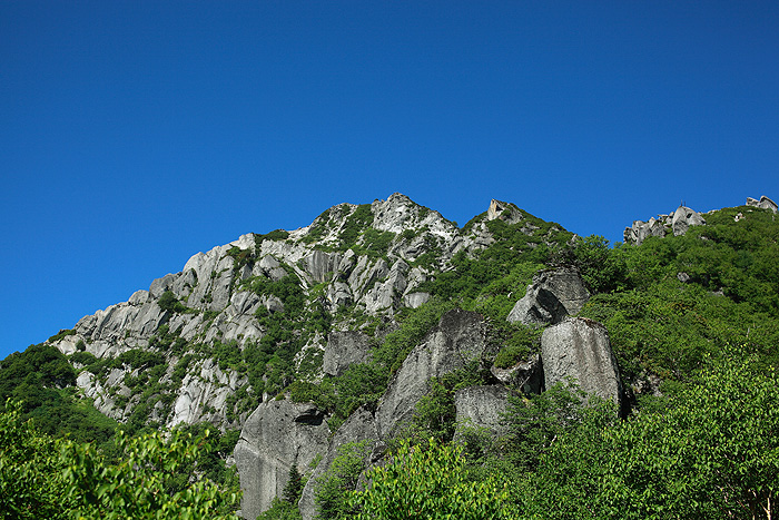 a0148606_14352772.jpg