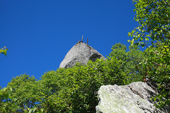 a0148606_1436959.jpg