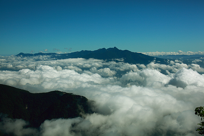 a0148606_14375767.jpg
