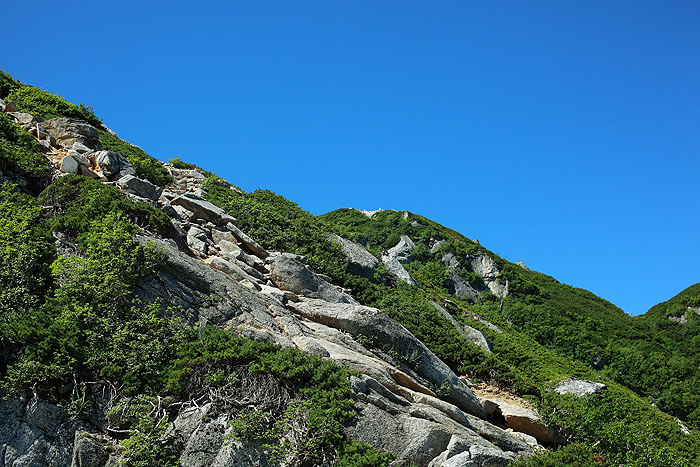 a0148606_14384490.jpg