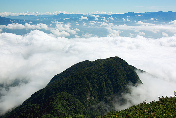 a0148606_1438639.jpg