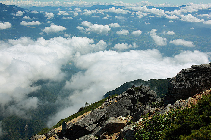 a0148606_14394581.jpg