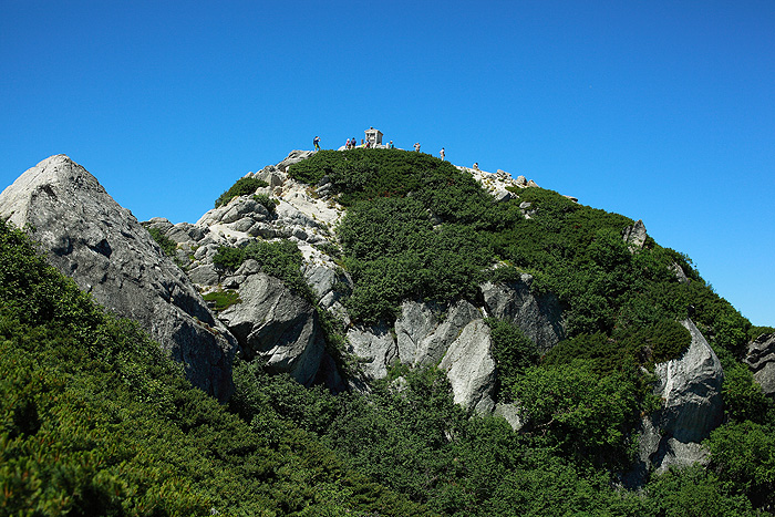 a0148606_14402267.jpg