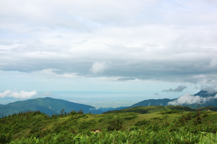a0148606_19113265.jpg