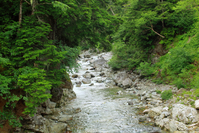 a0148606_19234858.jpg