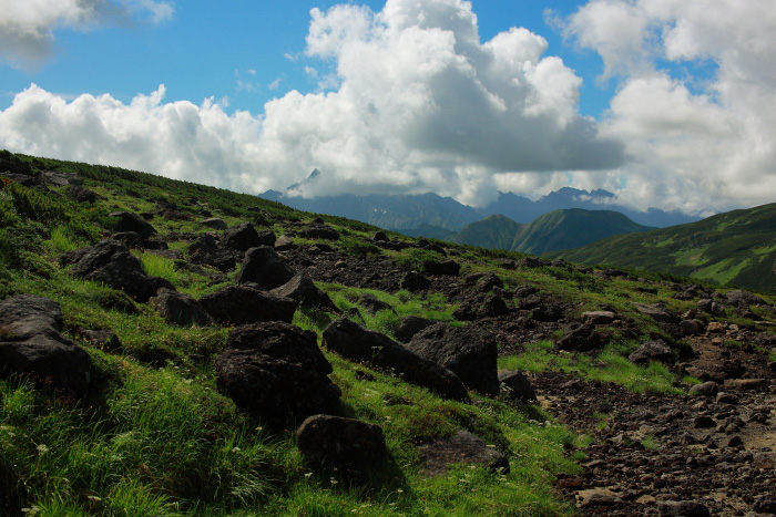 a0148606_2010499.jpg