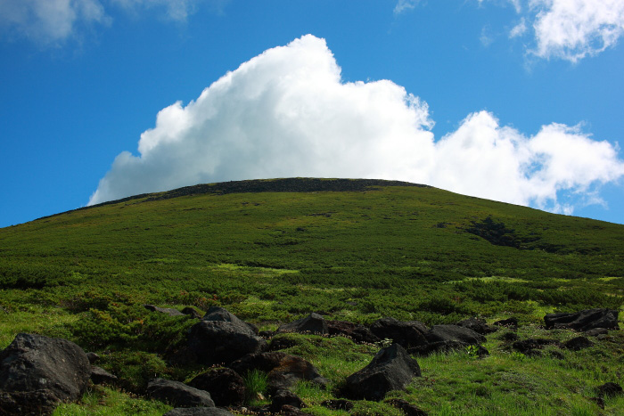 a0148606_20112134.jpg