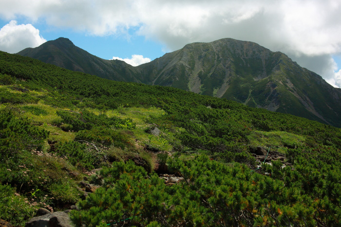 a0148606_2012214.jpg