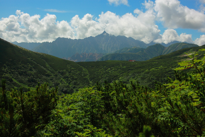 a0148606_20131546.jpg