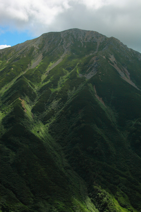 a0148606_20135031.jpg