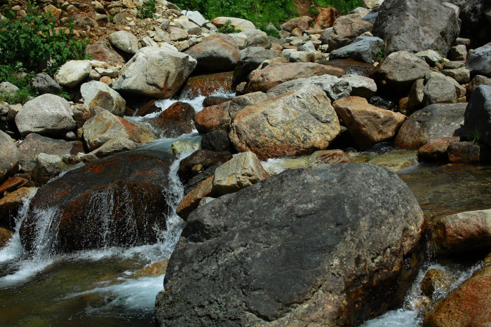 a0148606_2015266.jpg
