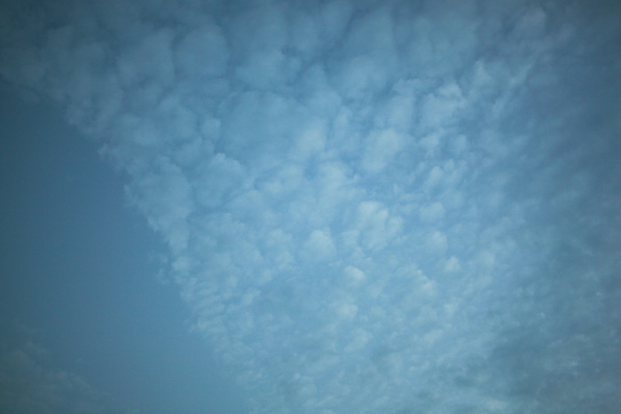 a0148606_20251461.jpg