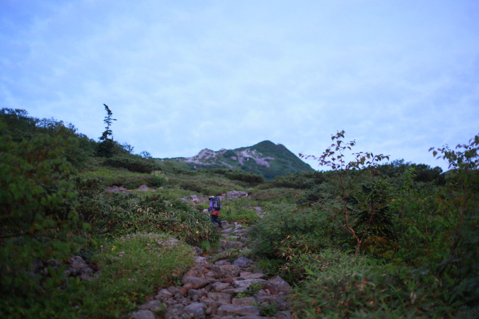 a0148606_2025226.jpg