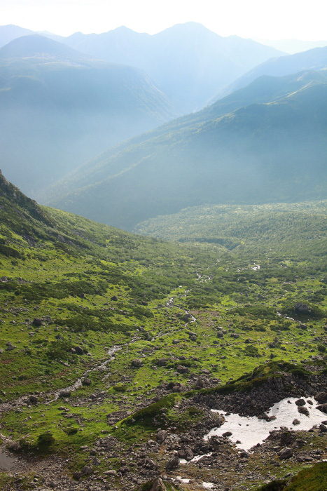 a0148606_20385833.jpg