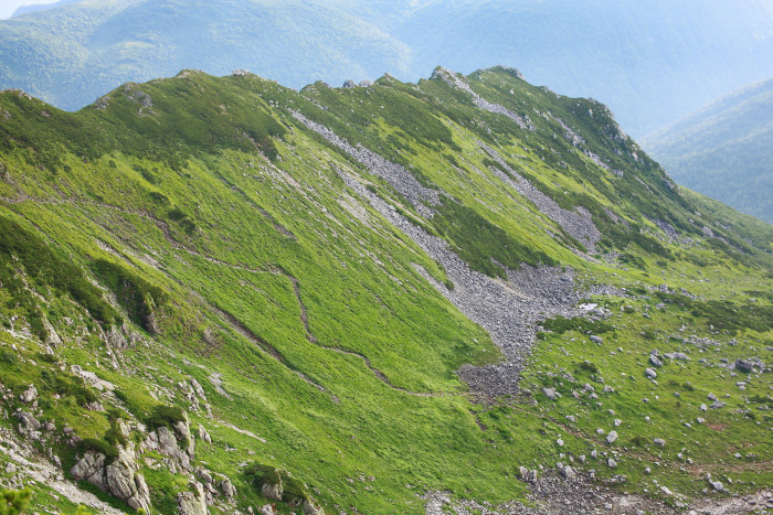 a0148606_20432834.jpg