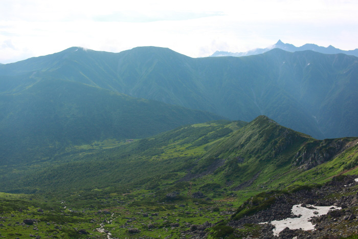 a0148606_20442886.jpg