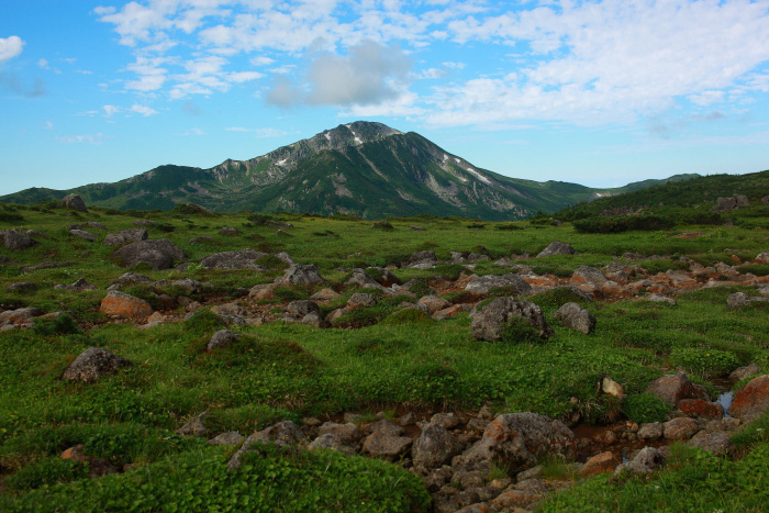 a0148606_2045610.jpg