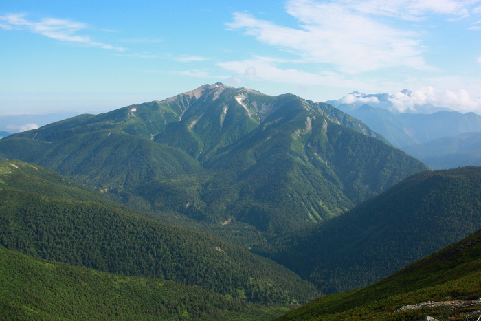 a0148606_2045910.jpg