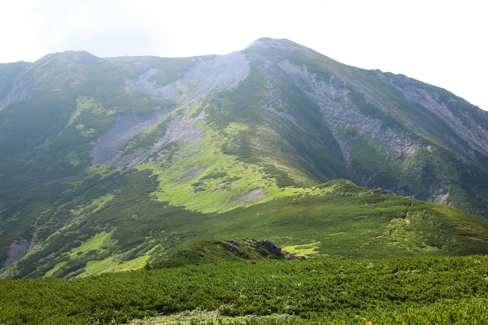 a0148606_20464790.jpg