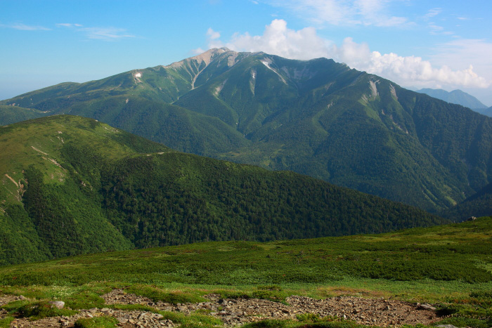 a0148606_20465863.jpg