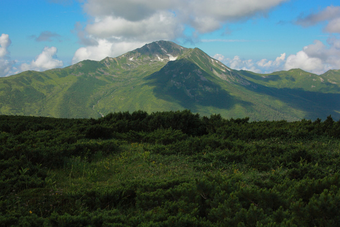 a0148606_2091264.jpg