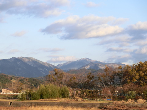 b0239909_223383.jpg