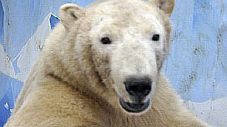 a0151913_0185558.jpg
