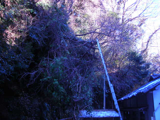 b0096418_4422246.jpg