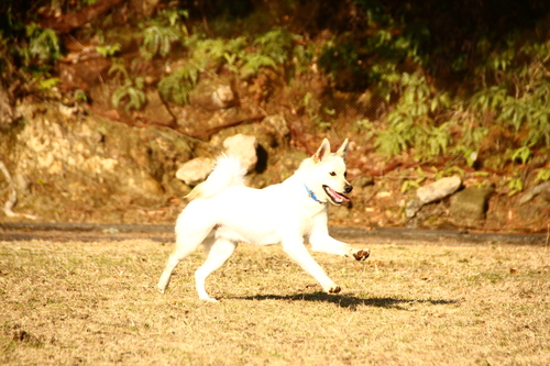 d0158028_18313899.jpg