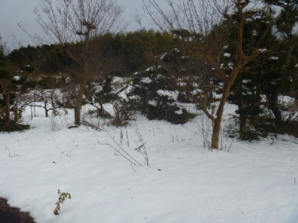 b0246036_20335053.jpg
