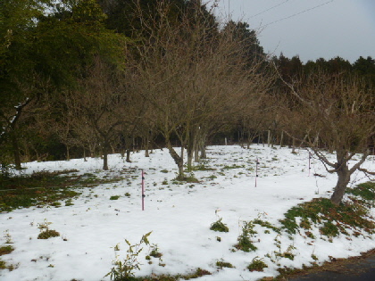 b0246036_20342817.jpg