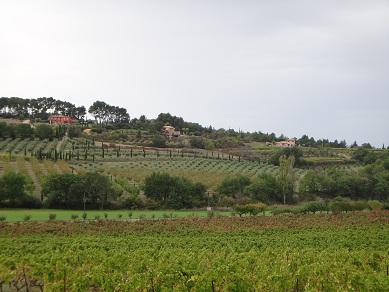 e0238838_2316650.jpg
