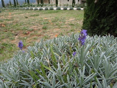 e0238838_2355955.jpg