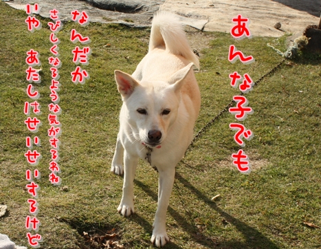 f0195543_0142489.jpg