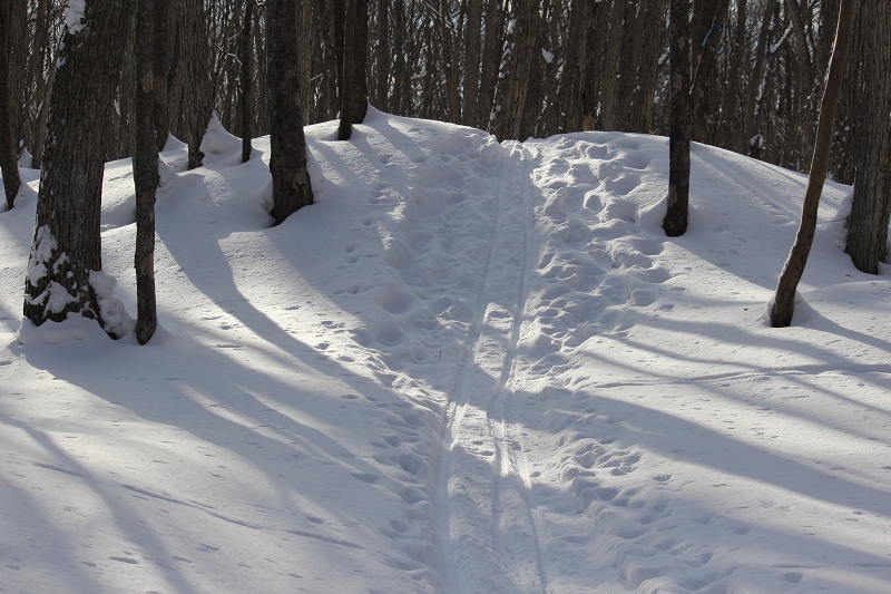b0250154_1013155.jpg