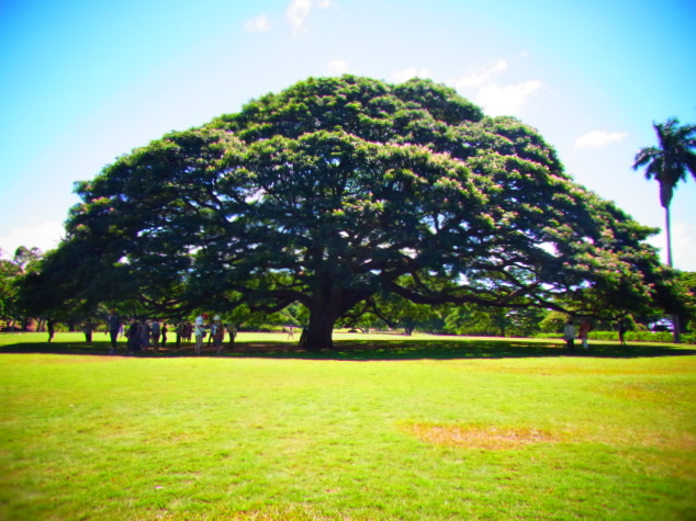b0238760_0115863.jpg