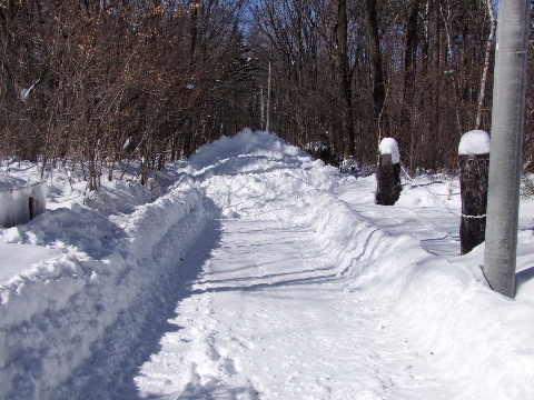 e0088260_2292294.jpg