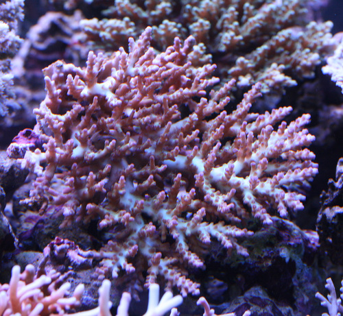 a0162261_19255383.jpg