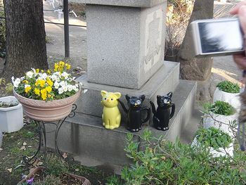 f0196665_1043117.jpg