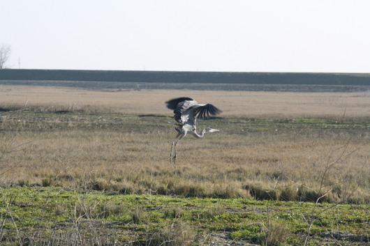 c0115366_1232140.jpg