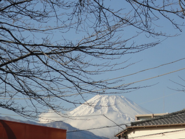 d0109373_15475687.jpg