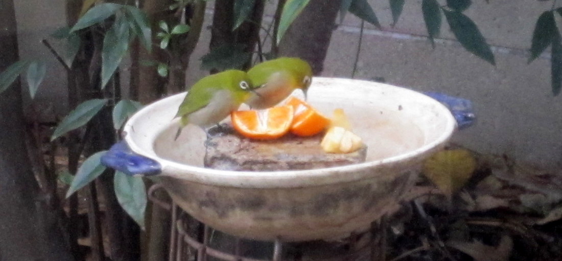 b0245877_0144985.jpg