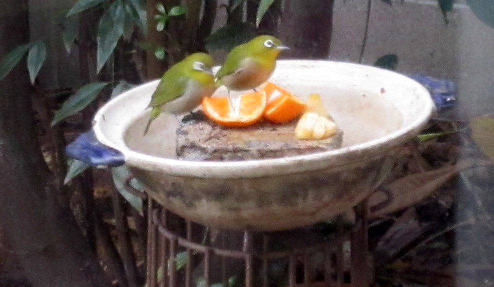 b0245877_0152536.jpg