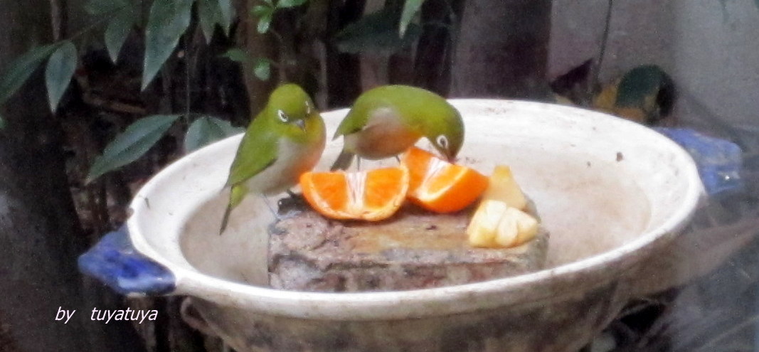 b0245877_015596.jpg