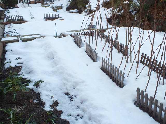 e0145782_1603679.jpg