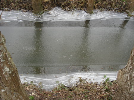 a0247585_4401655.jpg