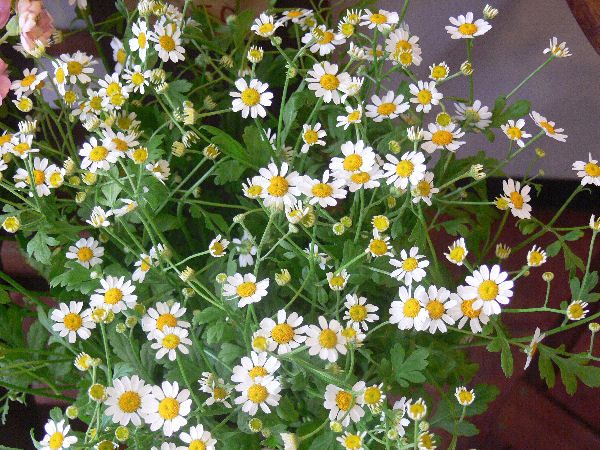 e0140986_1301557.jpg